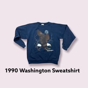 Washington Bald Eagle